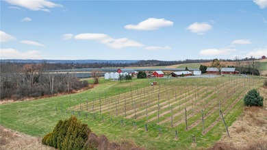 Seneca Lake Commercial Opportunity - Iconic Destination Property - photo 13
