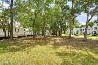 Rare Corner Lot for Sale in Celadon on Lady's Island! Build your - photo 4
