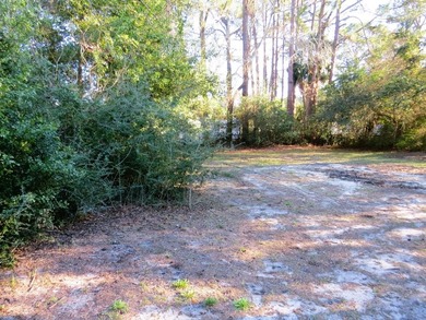 This 3-bedroom, 2-bath 1960 cottage offers a simple, comfortable - photo 4