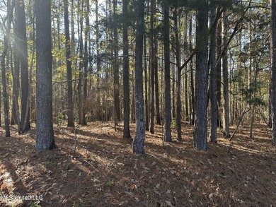(private lake, pond, creek) Acreage For Sale in Florence Mississippi