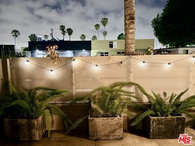 Exceptional value at Steel Lofts in the heart of Marina del Rey - photo 17