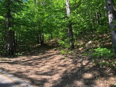 GOLF COURSE LIVING- Fantastic opportunity to own 2.52 acres on - photo 22