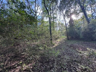 Waterfront Lot on Lake Livingston in Westwood Shores - photo 9