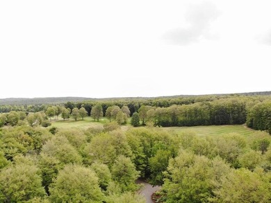 GOLF COURSE LIVING- Fantastic opportunity to own 2.52 acres on - photo 31