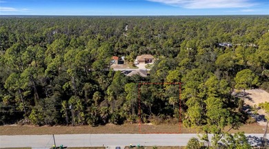 Build Your Vision in the Heart of Port Charlotte!  NO FLOOD ZONE - photo 3