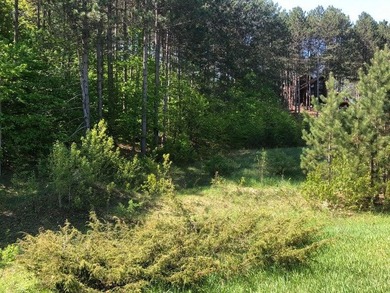 GOLF COURSE LIVING- Fantastic opportunity to own 2.52 acres on - photo 34