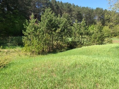 GOLF COURSE LIVING- Fantastic opportunity to own 2.52 acres on - photo 35