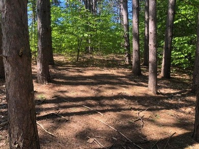 GOLF COURSE LIVING- Fantastic opportunity to own 2.52 acres on - photo 36