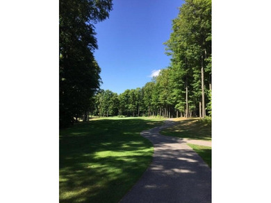 GOLF COURSE LIVING- Fantastic opportunity to own 2.52 acres on - photo 37