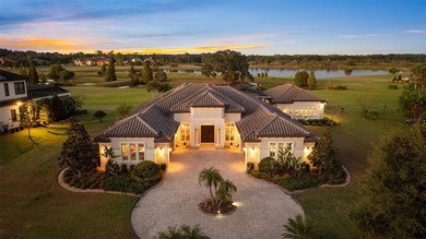 Lake Thonotosassa Home For Sale in Thonotosassa Florida