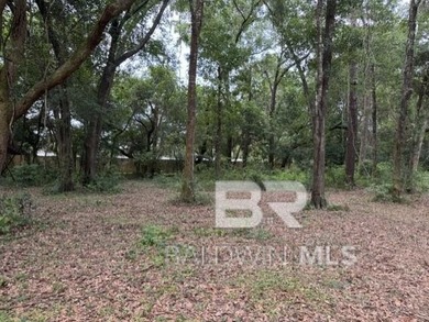 Set within a gated Foley enclave near Weeks Bay, this 2.54-acre - photo 2