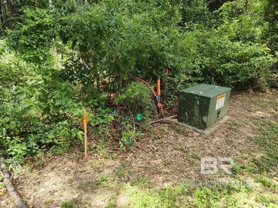 Set within a gated Foley enclave near Weeks Bay, this 2.54-acre - photo 4