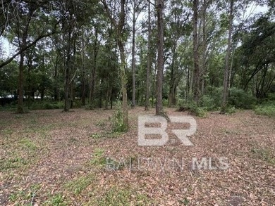 Set within a gated Foley enclave near Weeks Bay, this 2.54-acre - photo 5