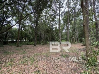 Set within a gated Foley enclave near Weeks Bay, this 2.54-acre - photo 6