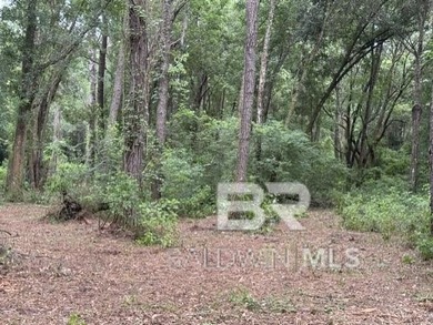 Set within a gated Foley enclave near Weeks Bay, this 2.54-acre - photo 7