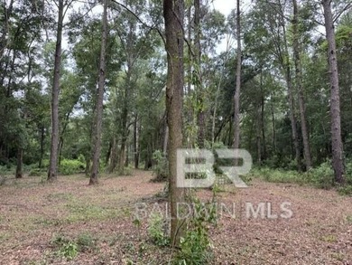 Set within a gated Foley enclave near Weeks Bay, this 2.54-acre - photo 9