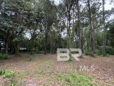 Set within a gated Foley enclave near Weeks Bay, this 2.54-acre - photo 10