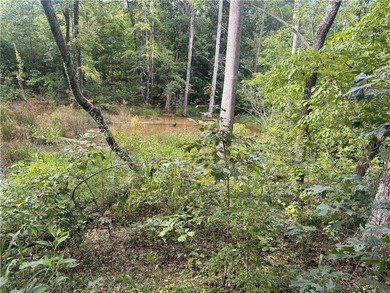 Moonlight Bay on Lake Keowee - Lots 48 & 49 (Total 1.88 Acres) - photo 5