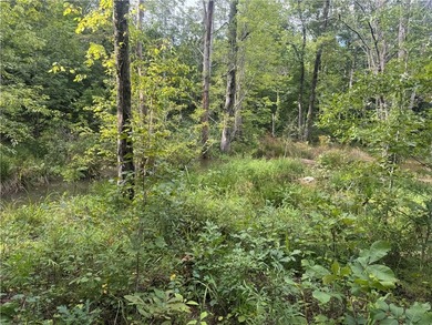 Moonlight Bay on Lake Keowee - Lots 48 & 49 (Total 1.88 Acres) - photo 6