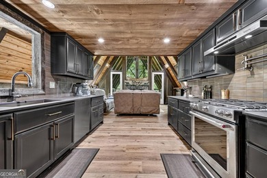 Timeless A-Frame Retreat in the Heart of Aska Adventure - photo 44