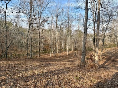 Moonlight Bay on Lake Keowee - Lots 49 An exceptional - photo 7