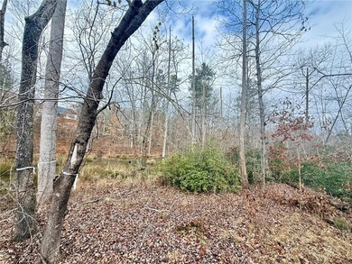 Moonlight Bay on Lake Keowee - Lots 49 An exceptional - photo 9