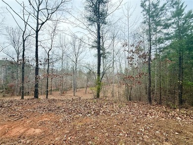 Moonlight Bay on Lake Keowee - Lots 49 An exceptional - photo 10