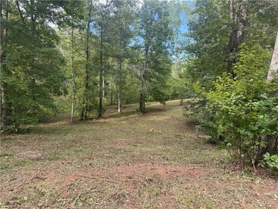 Moonlight Bay on Lake Keowee - Lots 48 -.92 acres An exceptional - photo 3