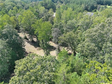 Moonlight Bay on Lake Keowee - Lots 48 -.92 acres An exceptional - photo 4