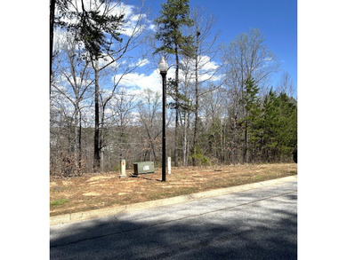 Moonlight Bay on Lake Keowee - Lots 48 -.92 acres An exceptional - photo 6