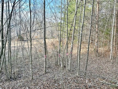 Moonlight Bay on Lake Keowee - Lots 48 -.92 acres An exceptional - photo 8