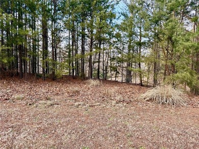 Moonlight Bay on Lake Keowee - Lots 48 -.92 acres An exceptional - photo 10