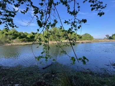 Waterfront Lot on Lake Livingston in Westwood Shores - photo 1