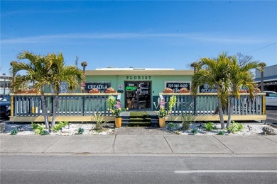 Positioned along Gulf Boulevard at 59th Avenue, this - photo 8