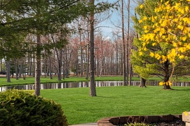 406' of Lake St. Helen frontage and a stunning home nestled on - photo 44