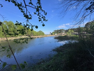 Waterfront Lot on Lake Livingston in Westwood Shores - photo 11