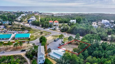 Positioned along Scenic Highway 30A with exceptional road - photo 3