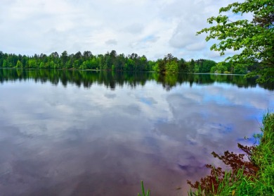 Rice River Flowage Lot For Sale in Tomahawk Wisconsin
