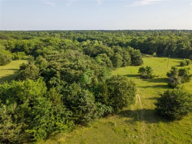 Bois D Arc Lake Acreage For Sale in Dodd City Texas