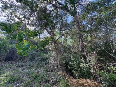 Waterfront Lot on Lake Livingston in Westwood Shores - photo 6