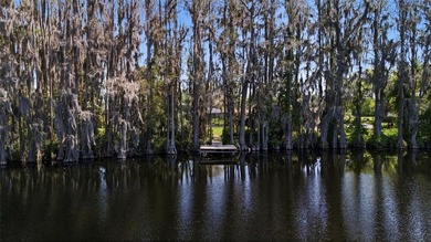 Positioned along the shores of Lake Kell in Lutz, this is a rare - photo 9