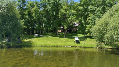 Experience the best of lake living on beautiful Sauk Lake! 1.23 - photo 12