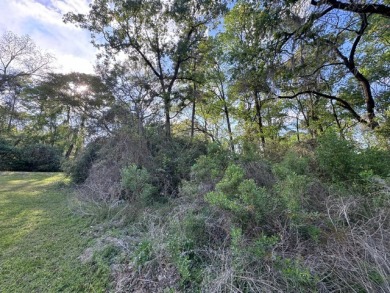 Waterfront Lot on Lake Livingston in Westwood Shores - photo 7