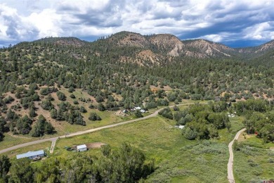(private lake, pond, creek) Lot For Sale in Pagosa Springs Colorado