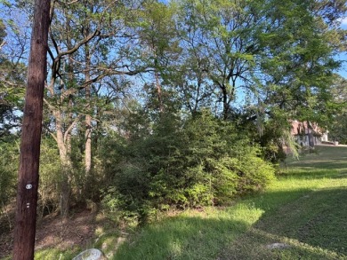 Waterfront Lot on Lake Livingston in Westwood Shores - photo 3