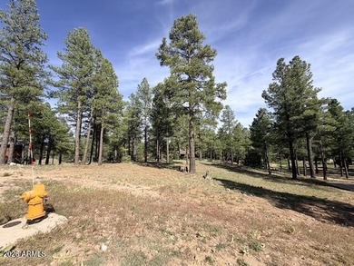 Exceptional golf course homesite located on the prestigious 6th - photo 12