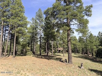 Exceptional golf course homesite located on the prestigious 6th - photo 13