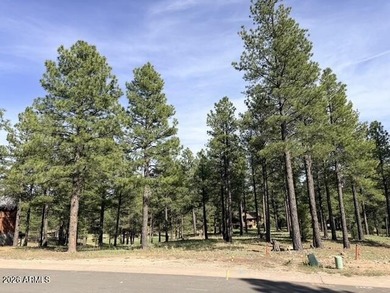 Exceptional golf course homesite located on the prestigious 6th - photo 14