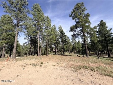 Exceptional golf course homesite located on the prestigious 6th - photo 15