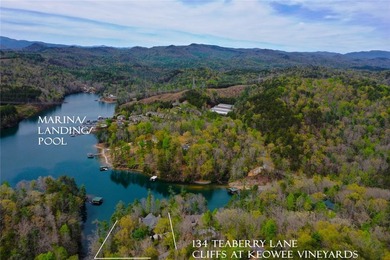 At 134 Teaberry Lane, the approach alone hints at something - photo 50